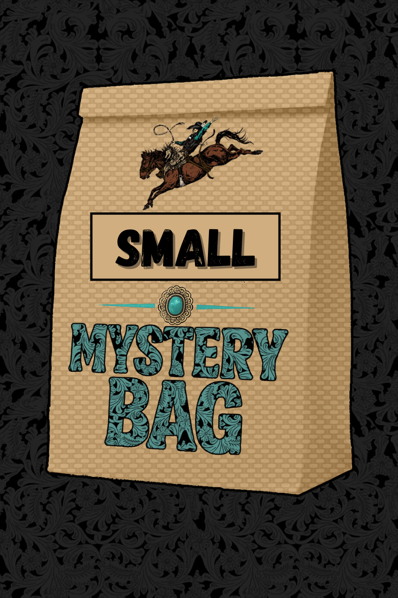 $100 Mystery Bag Madness!