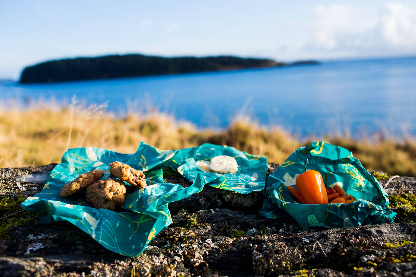 Cut-to-Size Roll - Ocean Print