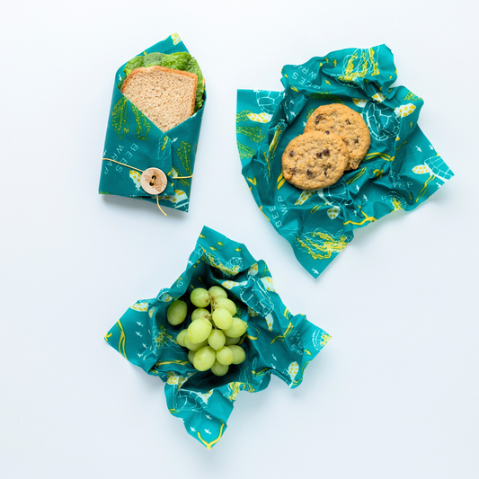 New! Lunch 3 Pack - Oceans Print